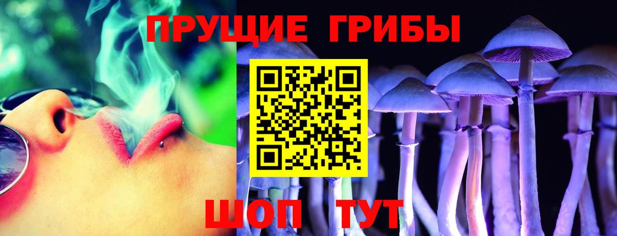 Тельмана  Псилоцибиновые грибы GOLDEN TEACHER  Псилоцибиновые грибы Psilocybe  Вход с VPN 